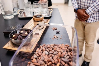 20 chocolade - de chocolade die u bij de eerste hap zal verrukken