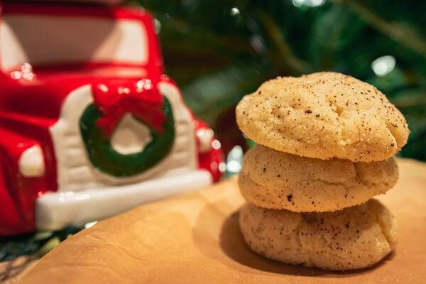 snickerdoodle koekjes